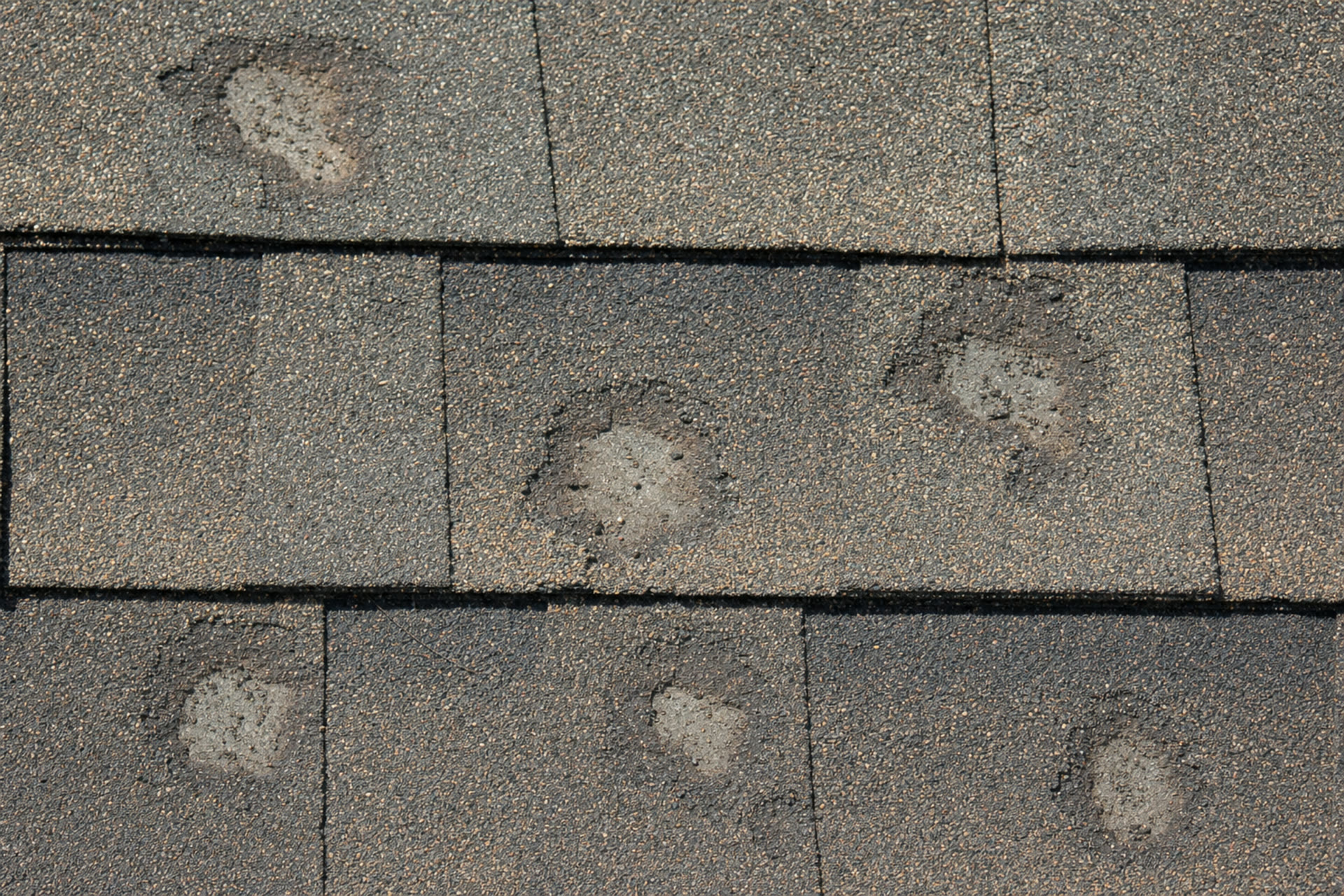 Hail damage on asphalt shingle roof — Minneapolis storm season